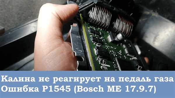 Профилактика